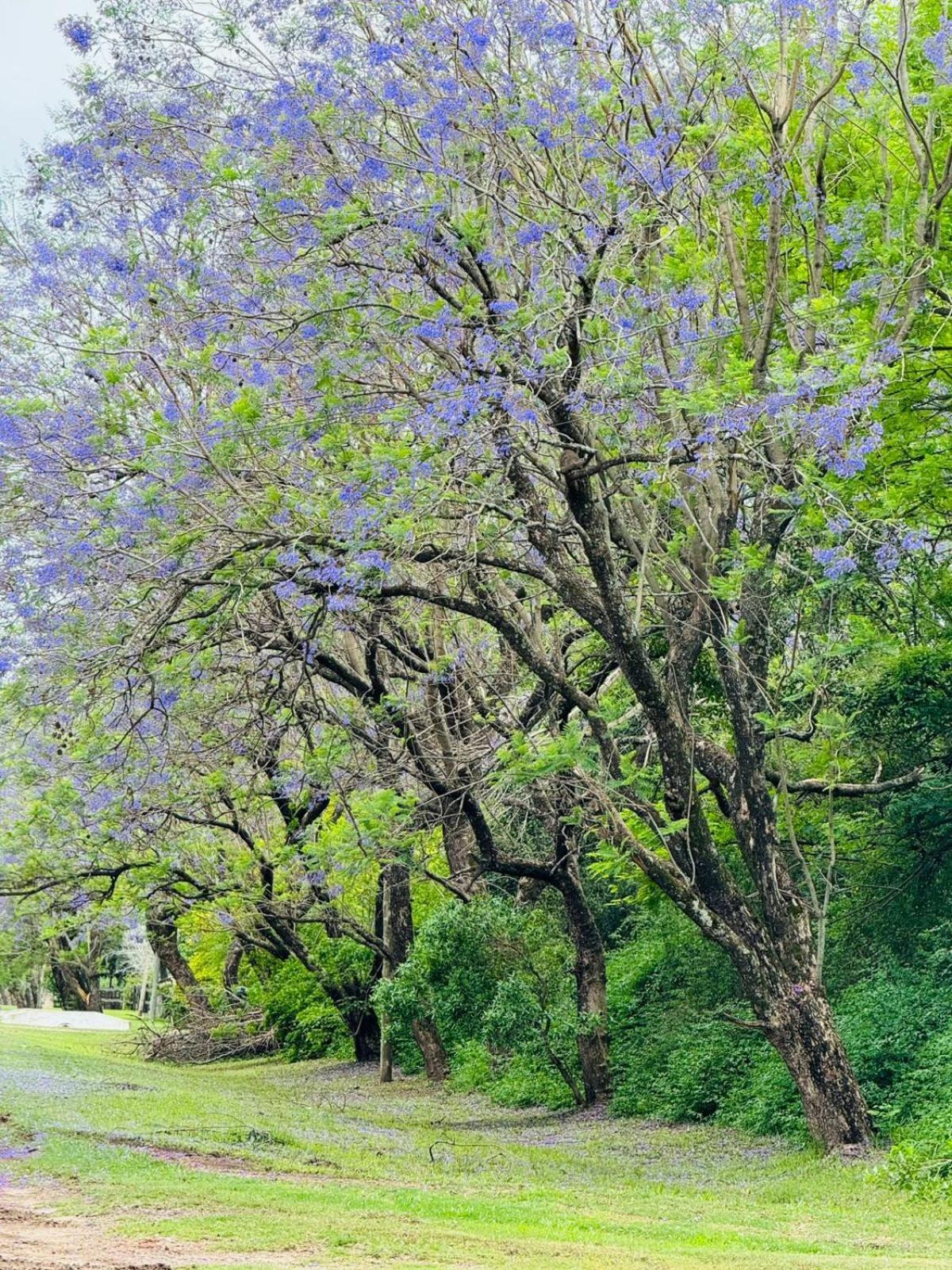 Penzion Posada Morotí Esquina  Exteriér fotografie